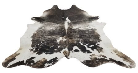 Brazilian dark tricolor cowhide rug with dense dark brown and black body and white edge sections