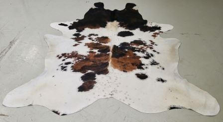 Tricolor Black Brown White image 0