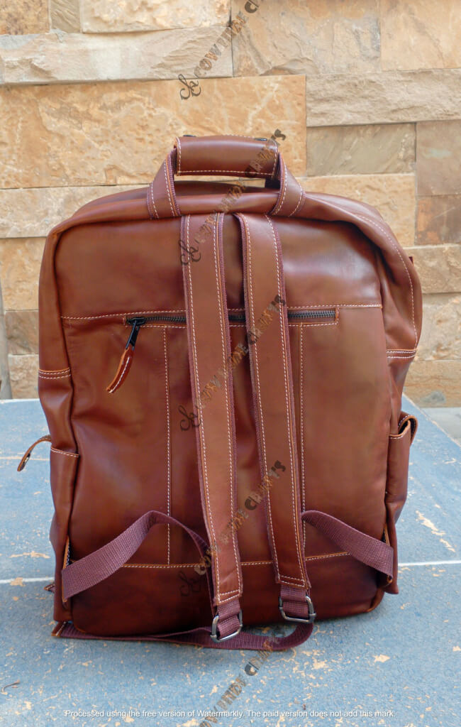 Brown laptop backpack travel back view