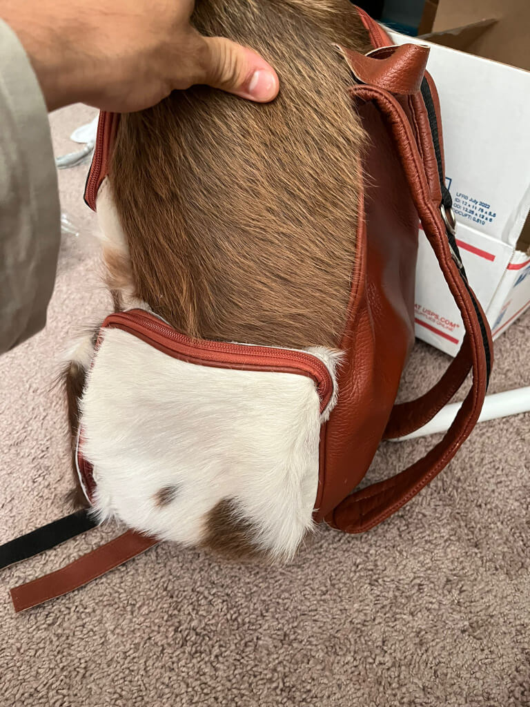 Cowhide backpack leather backside view