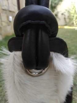 Women cowhide bag dual leather handles