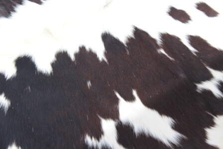 County Cowhide rugs